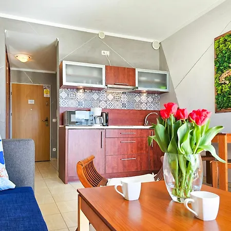 公寓 Visit Baltic - Zacisze Lesne Gwen 斯维诺乌伊希切