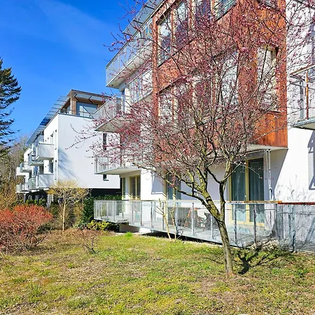 Visit Baltic - Zacisze Lesne Gwen 公寓 *